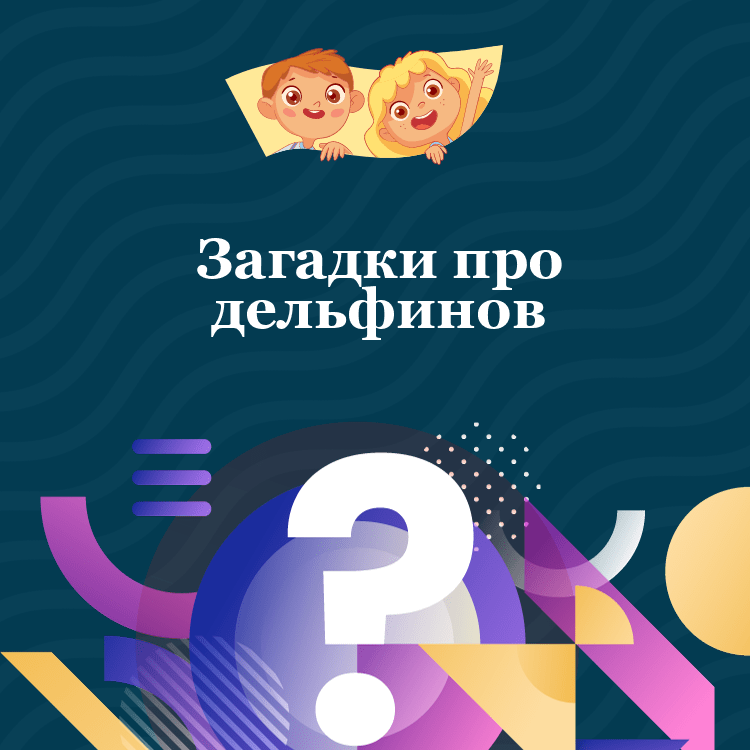 Загадки про дельфинов