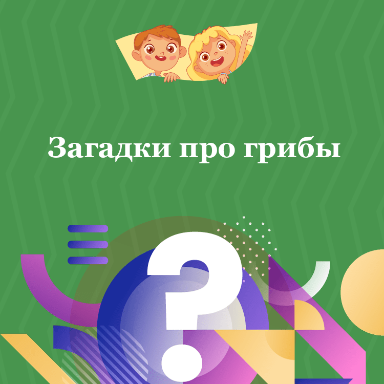 Загадки про грибы