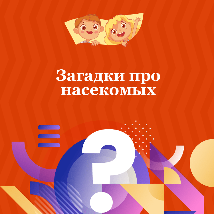 Загадки про насекомых