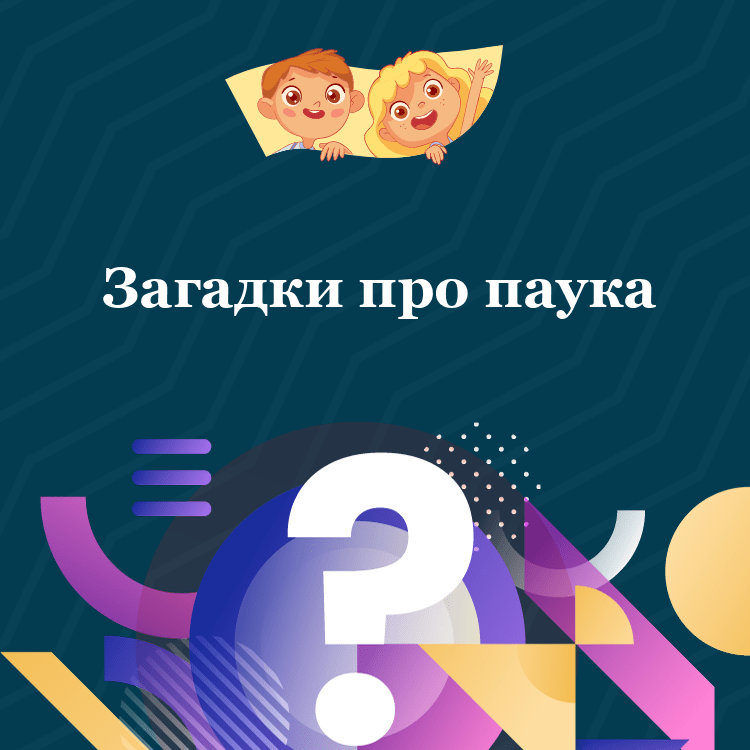Загадки про паука